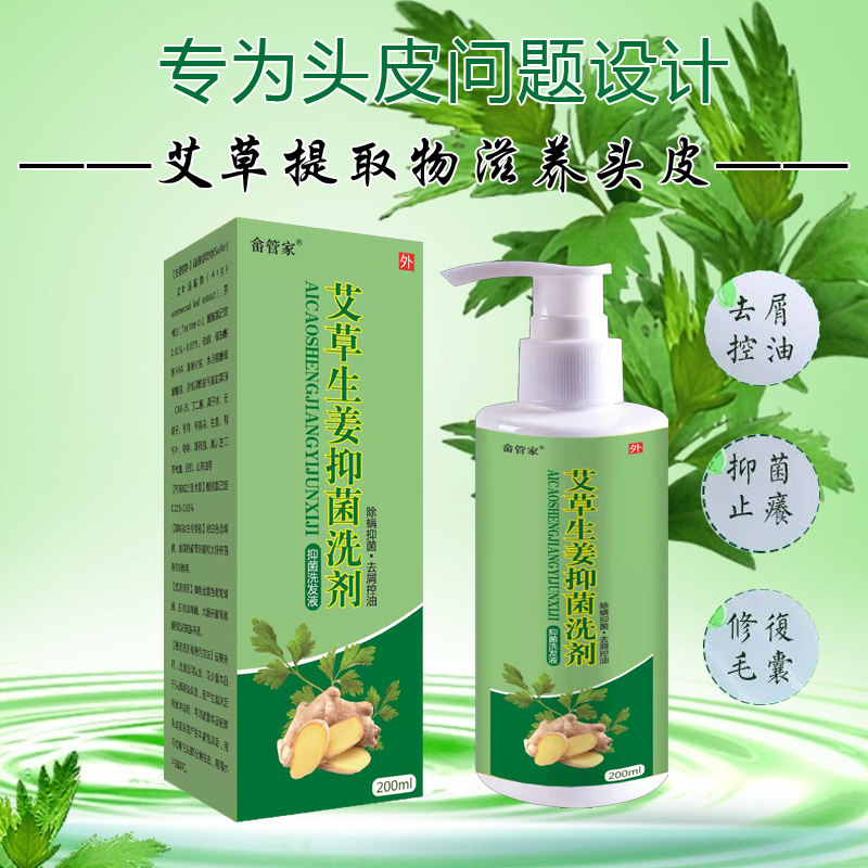 She housekeeper ginger antibacterial wormwood cool and antipruritic anti-moss anti-head oil anti-mite shampoo