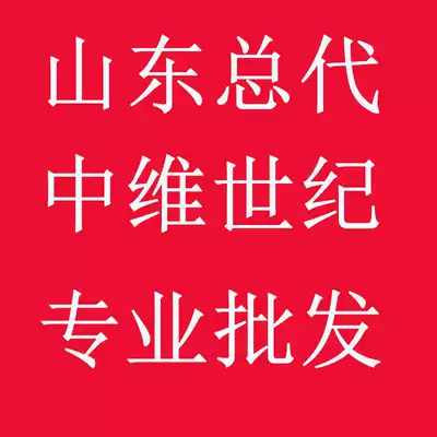 zhong wei shi ji camera recorder BK1H3D BK2H2S BLY6H3S 6061 6081 series available