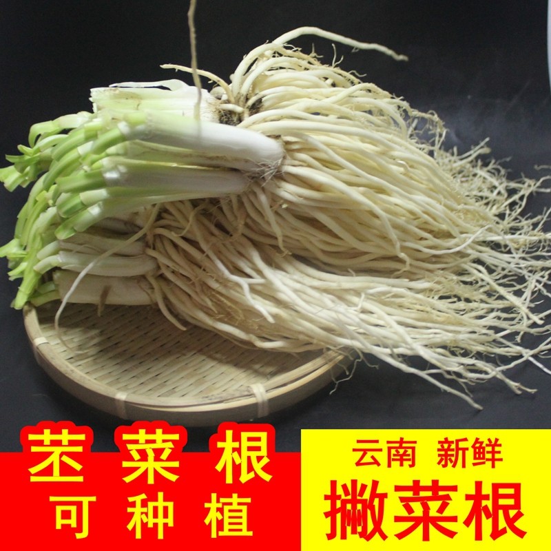 Skimming root fresh vegetables root large leeks root Yunnan apostrophe root curing Wa taste kraft root can be grown