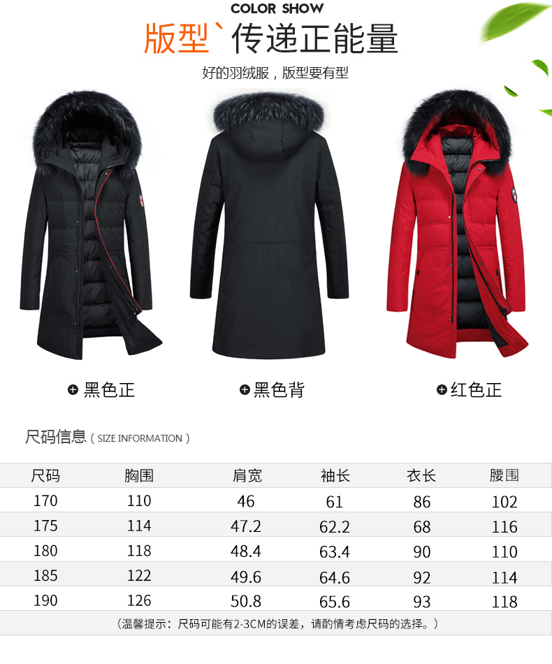 Blouson homme ROMON   en Polyester - Ref 3120327 Image 9