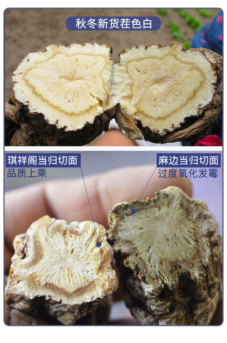 【琪祥阁】岷县无硫整根当归250g