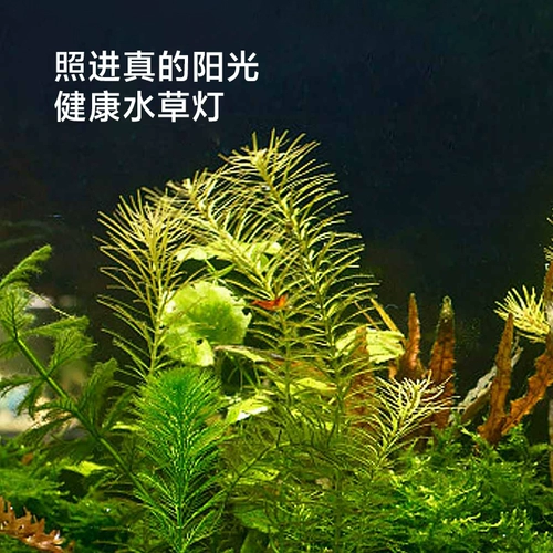 Семейство Xiaomi Mi Smart Fish Tank Гостиная настольная комната.