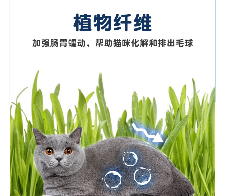 Mua 1 tặng 1 thức ăn cho mèo vui vẻ miễn phí thức ăn cho mèo - Cat Staples thức ăn cho mèo mẹ mới đẻ