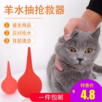 Pet Cat Cat высасывает щенков носа, щенков, перекачивание амниотической жидкости, перекачивающая амниотическая жидкость