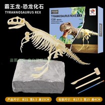 Dinosaur fossil archaeological excavation toy boy children dig specimen manual diy Tyrannosaurus Rex skeleton assembly model