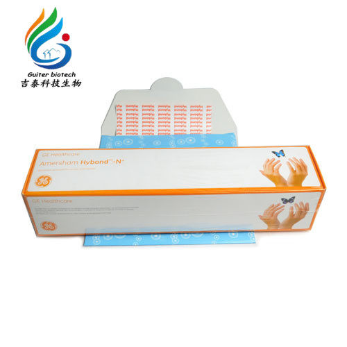 实验室用15x20cm尼龙膜 0.45微米过滤 欧式风格滤膜适配GE Amersham RPN303B