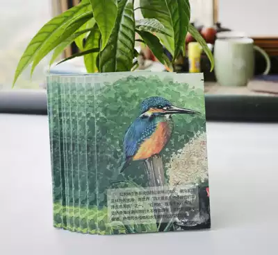 Guarding the Wilderness | China Mangrove: Mangrove Ecosystem Hand-painted Postcards (1 set)