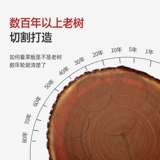 芙锦萃 Тянмушан железорубчатая доска среза
