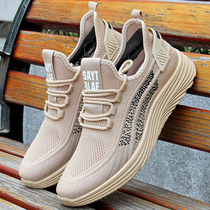 Summer Old Beijing Cloth Shoes Men Middle-aged Aged Tennis Shoes Dad Shoes Soft Bottom Male Shoes Old Man Breathable Casual Shoes Net Face