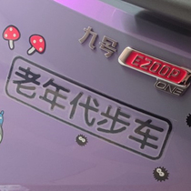 ninebot 9th electric car sticker car stickler deco E110L lakflower E125 patch flowers E80C cling film E200