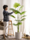 Large Artificial Palm Tree with Fan-Shaped Leaves, Floor-Standing Potted Plant, Fake Tree, Green Plant, Indoor Living Room Landscaping Decoration Ornament