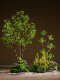 Internet-Famous Combination of Artificial Trees, Green Plants, Fake Trees, Floor-Standing Bionic Potted Plants, Indoor Window Display, Staircase Landscaping Decoration