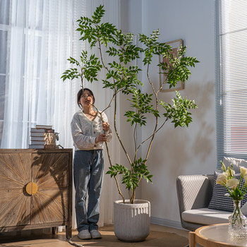 Large Artificial Elm Money Tree Green Plant, Fake Nandina Bamboo Tree for Indoor Living Room, Shop Window Decoration, Floor-Standing Ornament