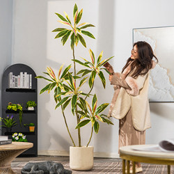 High-End Artificial Green Plants, Brazilian Iron Fake Trees, Simulated Plants, Artificial Trees, Indoor Living Room Decoration, Potted Floor-Standing Ornaments
