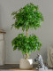 Artificial Green Plant Climbing Banyan Tree Fake Tree Happiness Tree Artificial Plant Living Room Interior Decoration Artificial Tree Floor-Standing Ornament
