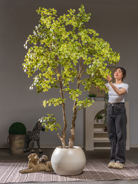 High-End Artificial Green Plant, Fortune Tree, Fake Tree, Artificial Money Tree, Fake Potted Plant, Living Room Indoor Floor-Standing Decorative Ornament