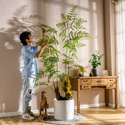 Bionic Green Plant Landscaping, Simulated Fake Tree, Golden Monkey, Monkey Head Fern, Indoor Living Room Potted Plant Decoration Ornaments