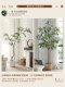 Artificial Green Plant Money Tree Fake Flower Tree High-End Light Luxury Living Room Balcony Floor-Standing Potted Plant Decoration Window Display Landscaping