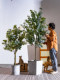 Sen Yicheng Artificial Gray-White Eucalyptus Green Plant Fake Tree Potted Plant Indoor Living Room Shop Window Decoration Ornament