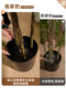 High-End Light Luxury Artificial Green Plant, Artificial Bamboo, Simulated Indoor Living Room Large Floor-Standing Potted Plant, Landscaping Artificial Tree