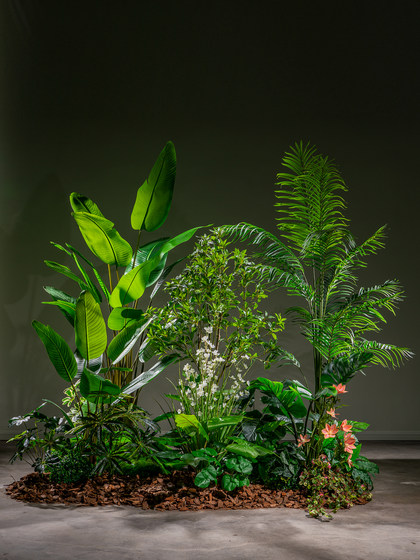 Internet-Famous Combination of Artificial Trees, Green Plants, Fake Trees, Floor-Standing Bionic Potted Plants, Indoor Window Display, Staircase Landscaping Decoration