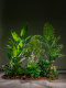 Internet-Famous Combination of Artificial Trees, Green Plants, Fake Trees, Floor-Standing Bionic Potted Plants, Indoor Window Display, Staircase Landscaping Decoration