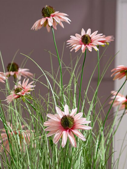 High-End Sunflower Artificial Flower Reed Grass Fake Flower Tree Bionic Fake Tree Green Plant Decoration Indoor Decoration Ornaments