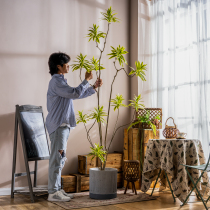 Nordic ins style Internet celebrity lily bamboo simulated green plants fake tree potted indoor living room landscaping decoration ornaments