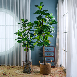 Artificial Ficus Lyrata Potted Plant, Large Indoor Living Room Office Floor-Standing Decorative Fake Tree Landscaping Green Plant Ornament