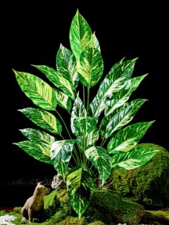 Simulated leaf green plants green fake grass bunch of money grass plastic flower arrangement decoration landscape fake leaf fern