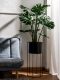 Artificial Monstera Bonsai Fake Tree Potted Plant Indoor Living Room Shop Landscaping Biomimetic Green Plant Decoration Ornament