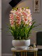 High-end 2026 new simulation feel Cymbidium orchid fake flower decoration plastic flower arrangement living room TV cabinet decoration bonsai