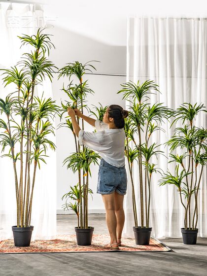Large Artificial Dragon Blood Tree, Millennium Wood Green Plant, Fake Tree Plant, Indoor Living Room Floor-Standing Potted Plant, Landscaping Decoration Bonsai