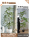 High-End Light Luxury Artificial Green Plant, Artificial Bamboo, Simulated Indoor Living Room Large Floor-Standing Potted Plant, Landscaping Artificial Tree