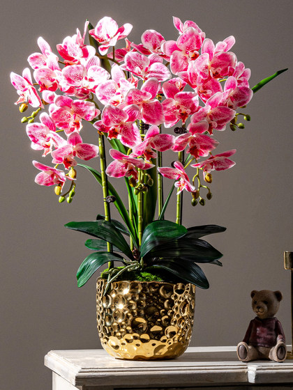 High-End Realistic Artificial Phalaenopsis Orchid Fake Flower Bionic Plastic Flower Arrangement Potted Plant Ornament Living Room Decoration
