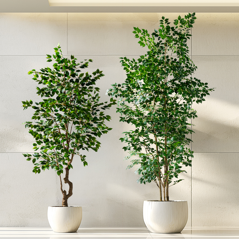 Sun-Resistant Money Tree Artificial Green Plant High-End Light Luxury Indoor and Outdoor Living Room Potted Decoration Fake Tree Landscaping Artificial Plant Sun-Resistant Money Tree Artificial Green Plant High-End Light Luxury Indoor and Outdoor Living Room Potted Decoration Fake Tree Landscaping Artificial Plant