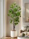 Artificial Plant Hanging Bell-Shaped Horse-Drooping Tree Fake Tree Indoor Entrance Display Window Bionic Green Plant Fake Flower Tree Floor-Standing Ornament Landscaping