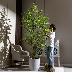 Money Tree Artificial Green Plant Large Simulated Fake Tree Plant Indoor Living Room Shop Window Landscaping Decoration Ornament