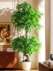 Artificial Green Plant Climbing Banyan Tree Fake Tree Bionic Plant Happiness Tree Indoor Living Room Floor-Standing Potted Plant Landscape Decoration