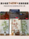 Simulated Green Plant Nandina Bamboo High-End Light Luxury Indoor Large Artificial Tree Plant Floor-Standing Decoration Living Room Tree