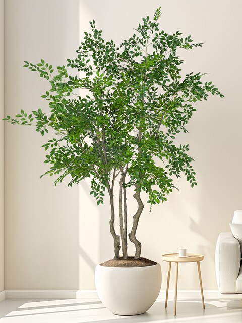 Large Artificial Elm Money Tree Green Plant, Fake Nandina Bamboo Tree for Indoor Living Room, Shop Window Decoration, Floor-Standing Ornament