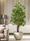 Artificial Plant Hanging Bell-Shaped Horse-Drooping Tree Fake Tree Indoor Entrance Display Window Bionic Green Plant Fake Flower Tree Floor-Standing Ornament Landscaping