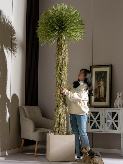Light Luxury High-End Artificial Green Plant Dracaena Millenaria Fake Tree Indoor Living Room Decoration Floor-Standing Ornament Potted Plant