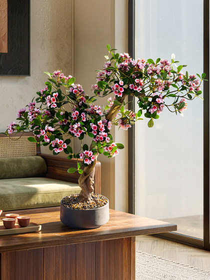 High-End Island-Style Artificial Green Plants and Flowers, Indoor Fake Potted Plants, Entryway Decoration, Desktop Ornaments in Vintage Style