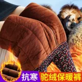 Бархатные утепленные удерживающие тепло зимние штаны, высокая талия, большой размер, для среднего возраста