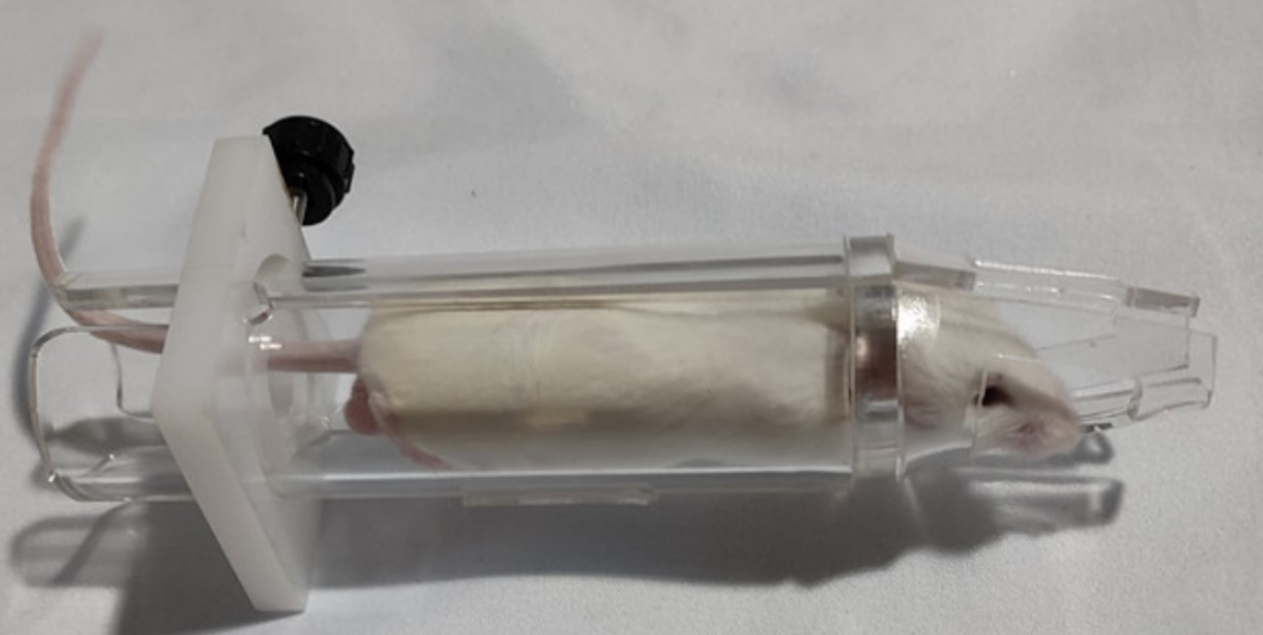 小鼠眼部照射固定器大鼠固定器筒形鼠固定器