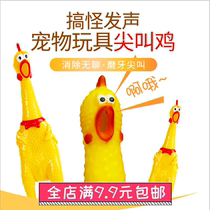 Screaming chicken pet supplies dog vocal toy enamel resistant to bite molars large Screaming Chicken strange chicken pet toy