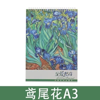 Радужная оболочка A3