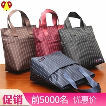 Mother bag female 2020 new Korean version of middle-aged lady large capacity bag Joker Hand bag Mummy small cloth bag