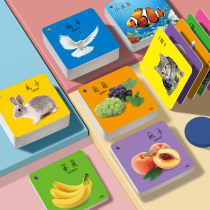 Animal Cards Baby Child Early Childhood Cognitive Card Epistemogram Card Baby Enlightenment Epistemographic Card Digital Literacy DIGITAL LITERACY ANIMAL TOYS
